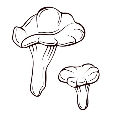 Chanterelle mantarları sanat tarzında. El çizimi mantar ikonu. Vektör illüstrasyonu beyaz arkaplanda izole edildi.