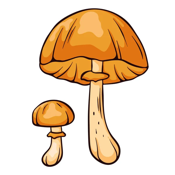 Autumn Skullcap Inedible Mushroom Cartoon Style Poisonous Plants Sketch Vector — Stock Vector
