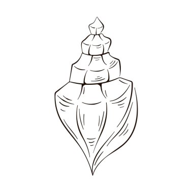 Sanat tarzında deniz kabuğu. Deniz kabuğu çizilmiş basit bir logo. Vektör illüstrasyonu beyaz arkaplanda izole edildi.