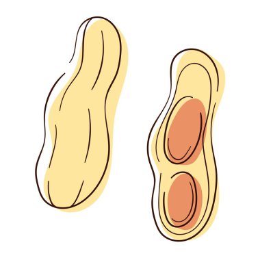 Peanut simgesi hizada ve renk sanatında ayarlandı. Fıstık ezmesi paketi için tasarım. Vektör illüstrasyonu beyaz arkaplanda izole edildi.