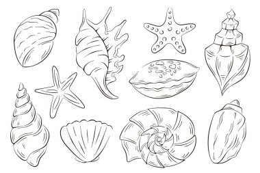 Sanat tarzında denizaltı kabukları. Balık lokantası, paket, logo, ikon ve menü için yaz tasarımı. Vektör illüstrasyonu beyaz arkaplanda izole edildi.