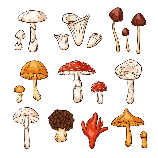 Hand Drawn Colorful Inedible Mushrooms Collection Cartoon Style Fly Agaric — Stock Vector
