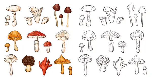 Inedible Mushrooms Set Line Art Style Collection Colorful Monochrome Mushrooms — Stock Vector