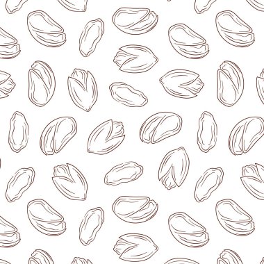 Sanat tarzında kusursuz şam fıstıkları. Menü, paket, yiyecek deposu için el yapımı fındık tasarımı. Beyaz arkaplanda vektör illüstrasyonu.