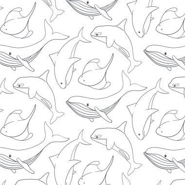 Denizaltı ve okyanus hayvanları sanat tarzında kusursuz desenli. Şirin köpekbalığı, mavi balina, vatoz ve katil balina. Vahşi yaşam deniz canlıları. Beyaz arkaplanda vektör illüstrasyonu.