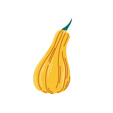 Düz şekilli sarı kabak ikonu. Sonbahar tasarımı. Vektör illüstrasyonu beyaz arkaplanda izole edildi.