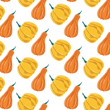 Turuncu ve sarı balkabaklarının düz bir şekli var. Sonbahar botanik ve sebzeleri. Beyaz arkaplanda vektör illüstrasyonu.