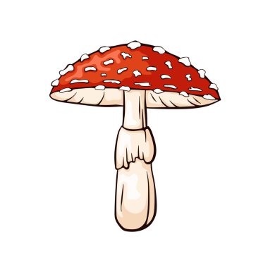 Çizgi film tarzında beyaz noktalı kırmızı, tarımsal mantarlar. Doğa tasarımı için mükemmel, botanik projesi, eğitim materyali ve mantar tanımlama rehberi.