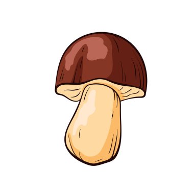 Kahverengi şapkalı ve çizgi film tarzında bej saplı Boletus mantarı. Mantar ve bitkiler üzerine mutfak projesi, doğa temalı ve eğitici materyaller tasarlamak.