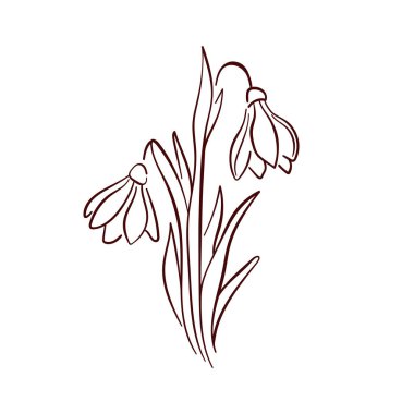 Minimalist bir sanat tarzında çizilmiş kartopu çiçeği. Bahar tasarımı, doğa çizimi, botanik projesi ve zarif dekoratif element için mükemmel..