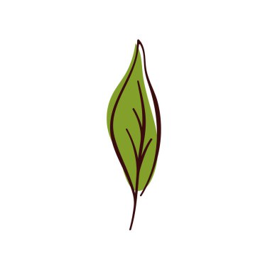 Basit düz dizaynlı yeşil fesleğen yaprağı. Doğal, organik ve çevre dostu temalar için idealdir. Beyaz arkaplanda izole.