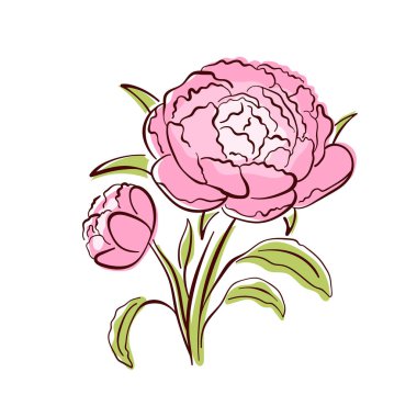 Yeşil yapraklı, yassı bir çiçek. Botanik tasarım, duvar kağıdı dekoru, tekstil ve bahar sanatı için ideal. Beyaz arkaplanda izole.