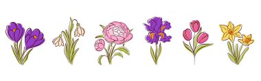 Crocus, kardelen, şakayık, iris, lale ve nergis serpiştirilmiş bahar çiçeği. Mevsimlik tasarım, tebrik kartı, poster ve doğa teması için mükemmel. Beyaz bir arkaplanda izole edilmiş.