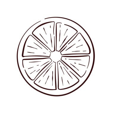 Sanat tarzında limon dilimi. Tropik yaz turunçgilleri ve segmentleri. Menü, meyve ve bakkal için tasarım. Vektör illüstrasyonu beyaz arkaplanda izole edildi.