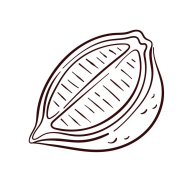 Limonun yarısı sanat tarzında. Meyve deposu, paket ve kafe menüsü için vitamin bileşeni tasarımı beyaz arkaplanda izole edildi.