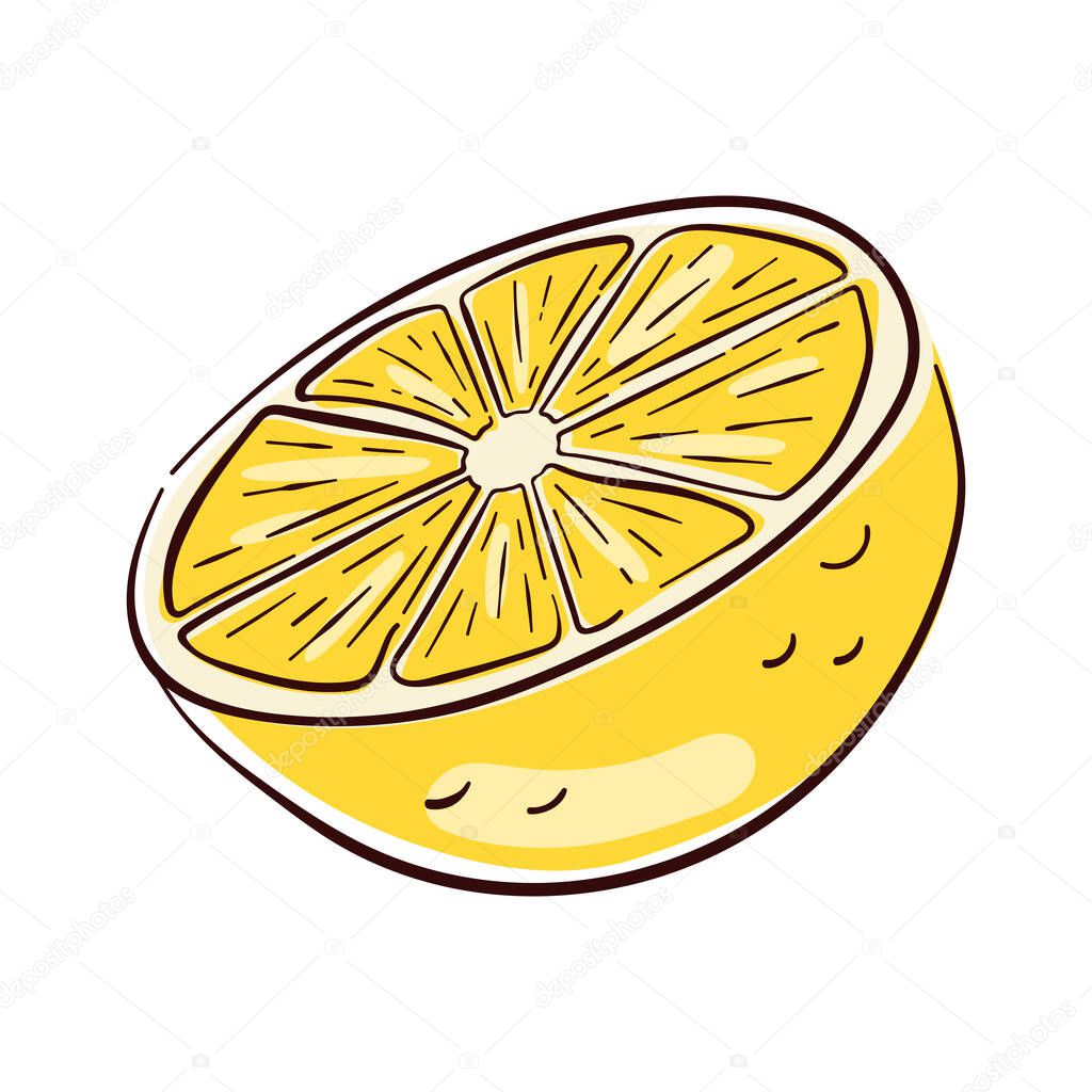Lemon fruit yellow half in flat style. Hand drawn illustration design for menu, package, cosmetic, textile isolated on a white background