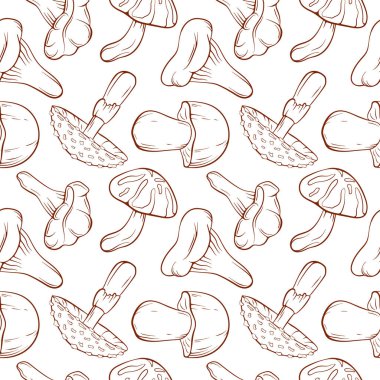 Beyaz bir arka planda hatsız çizgili mantar mantarı sineği, Boletus, Chanterelle, Niscalo, Shiitake deseni var. Gıda ambalajı, tekstil, baskı ve organik tasarım için ideal.