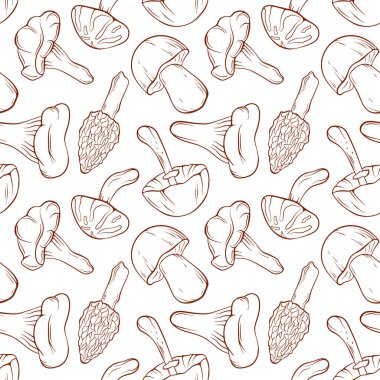 Beyaz arka planda kusursuz çizgili mantar deseni. Boletus, porcini, Chanterelle, Morel, Niscalo, Shiitake, Autumn Skullcap. Yemek, doğa ya da botanik sonbahar tasarımı için mükemmel.