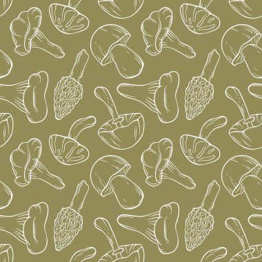 Yeşil arka planda kusursuz çizgili mantar deseni. Boletus, porcini, Chanterelle, Morel, Niscalo, Shiitake, Autumn Skullcap. Gıda teslimatı için mükemmel paketler, doğa ya da botanik sonbahar tasarımı.