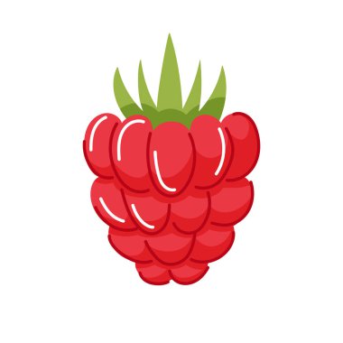 Düz yapraklı ahududu meyvesi beyaz arka planda izole edilmiş.