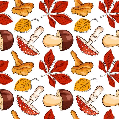 Çizgi film stili mantar sineğinin kusursuz deseni agarik, Boletus, Chanterelle ve kestane, beyaz arka planda Birch yaprağı. Sonbahar paketi, tekstil tasarımı, baskı ve organik tema için ideal