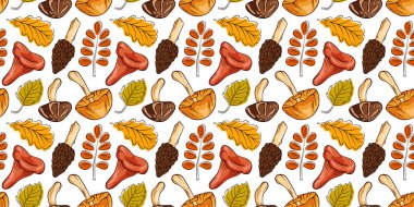 Çizgi film tarzı mantar ve beyaz arka planda yaprak deseni. Sonbahar duvar kağıdı tasarımı ve mevsimlik paket için doğal orman botanik çizimi