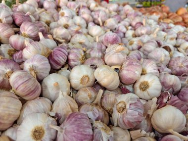 Değişen beyaz ve mor tonlarında bol miktarda sarımsak soğanı bir pazar ortamında üst üste yığılmış, kırsal cazibelerini ve doğal güzelliklerini ön plana çıkarıyor..