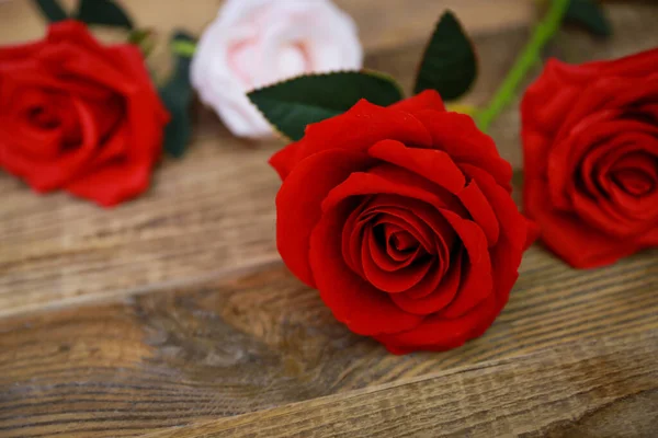 Czerwony Róża Tło Zdjęcia — Zdjęcie stockowe