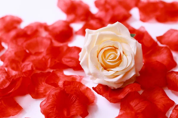 Τριαντάφυλλο Λουλούδι Φόντο Χάρτη — Φωτογραφία Αρχείου