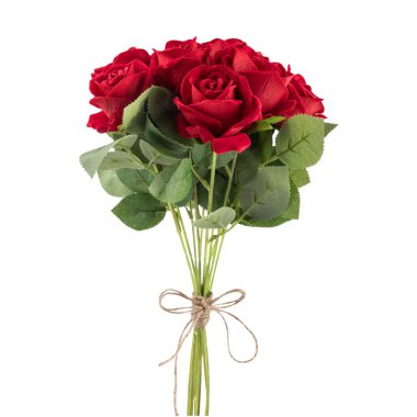 Gül Güzeli Arkaplan ve Sevgililer Günü Arkaplanı