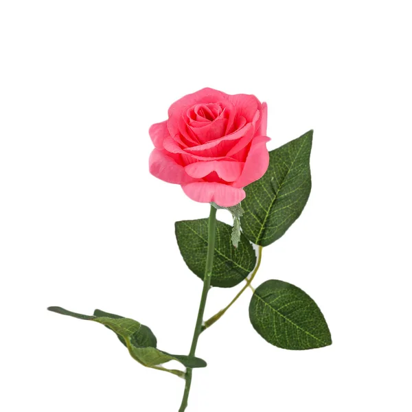 Τριαντάφυλλο Όμορφο Φόντο Ημέρα Του Αγίου Βαλεντίνου Φόντο — Φωτογραφία Αρχείου
