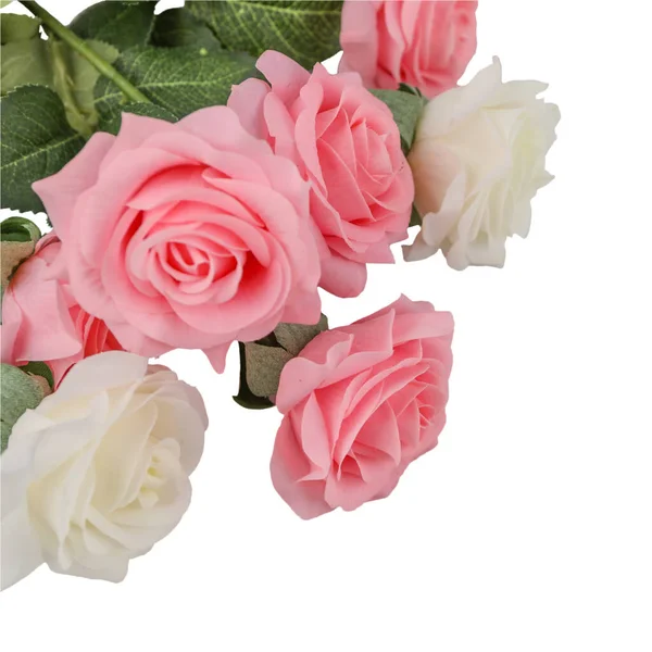 Rose Schöner Hintergrund Valentinstag Hintergrund — Stockfoto