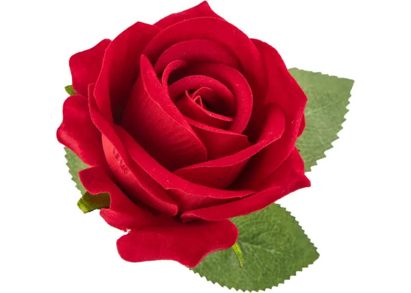 Rose Beautiful Background Valentine Day Background — Stock Photo, Image