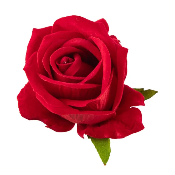 玫瑰美丽的背景和情人节背景 — 图库照片