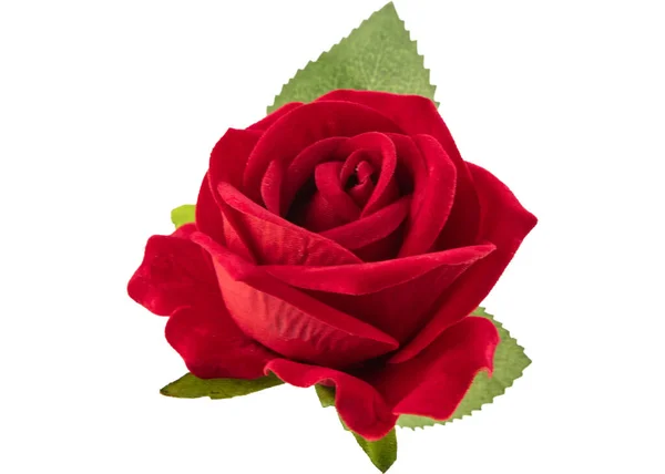 玫瑰美丽的背景和情人节背景 — 图库照片