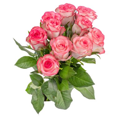 Beyaz arka planda izole kırmızı gül Sarı pembe beyaz gül 