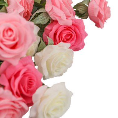 Beyaz arka planda izole kırmızı gül Sarı pembe beyaz gül 