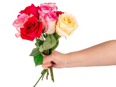 Beyaz arka planda izole kırmızı gül Sarı pembe beyaz gül 