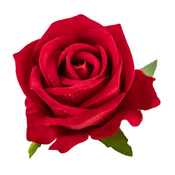 Rose Rouge Isolée Sur Fond Blanc Rose Jaune Rouge Rose — Photo
