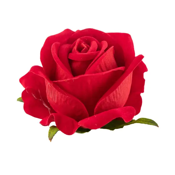 红色玫瑰 白色背景 白色玫瑰 — 图库照片