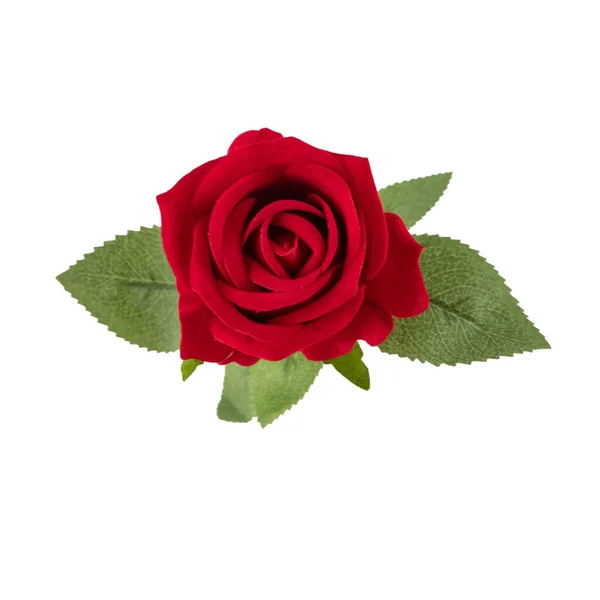 Rose Rouge Isolée Sur Fond Blanc Rose Jaune Rouge Rose — Photo