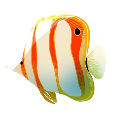 karalama tarzı ve beyaz arkaplan ile balık vektörü ve balık clipart renk balık