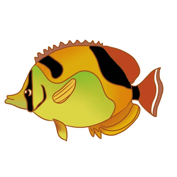 Fish Vector Doodle Style White Background Fish Clipart Colour Fish — 图库照片