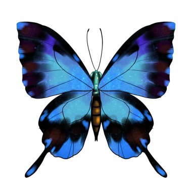 Beyaz izole arkaplan üzerinde renk kelebeği