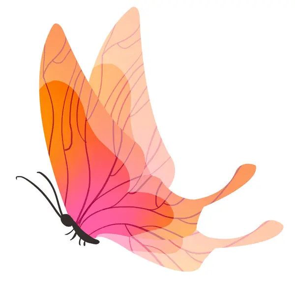 Farbe Schmetterling Auf Weißem Isolierten Hintergrund — Stockfoto