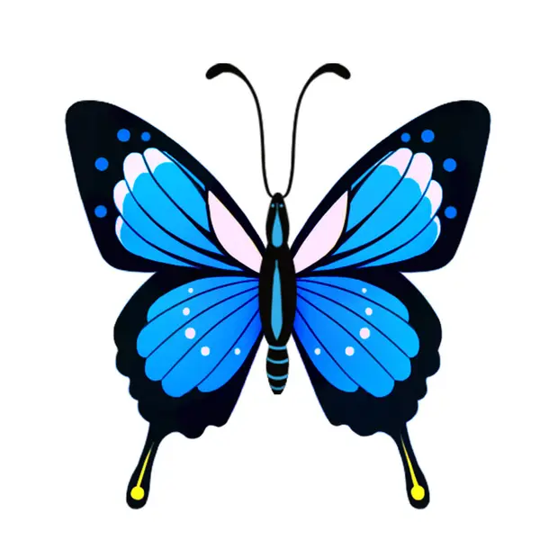 Beyaz Izole Arkaplan Üzerinde Renk Kelebeği — Stok fotoğraf