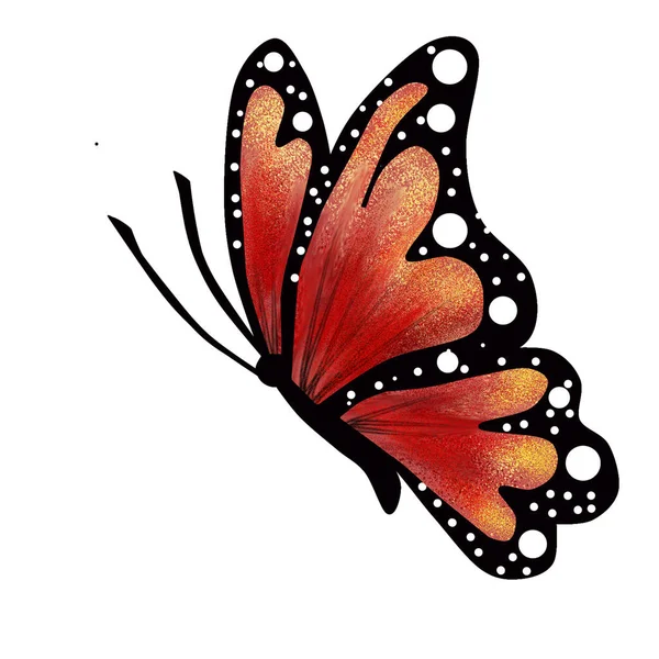 Кольоровий Метелик Білому Ізольованому Фоні — стокове фото