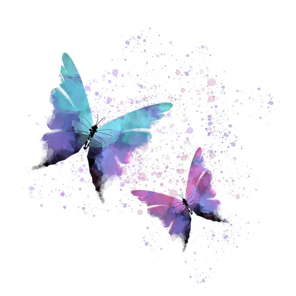 Beyaz izole arkaplan üzerinde renk kelebeği