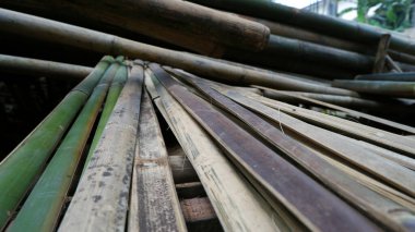 Kesik bambu ağacı gövdesinin ayrıntıları. Evlerin ve diğer endüstrilerin içi ve dışı için bambu şeritleri.