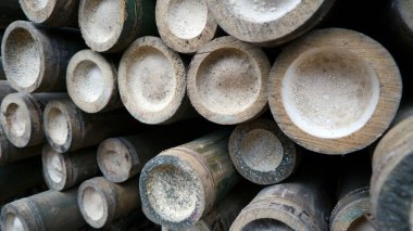 Bambu çubukları görünür uçlarıyla daire şeklinde kesilmiş..